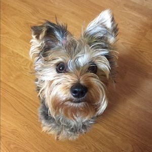 Meet your Posher, Kayla